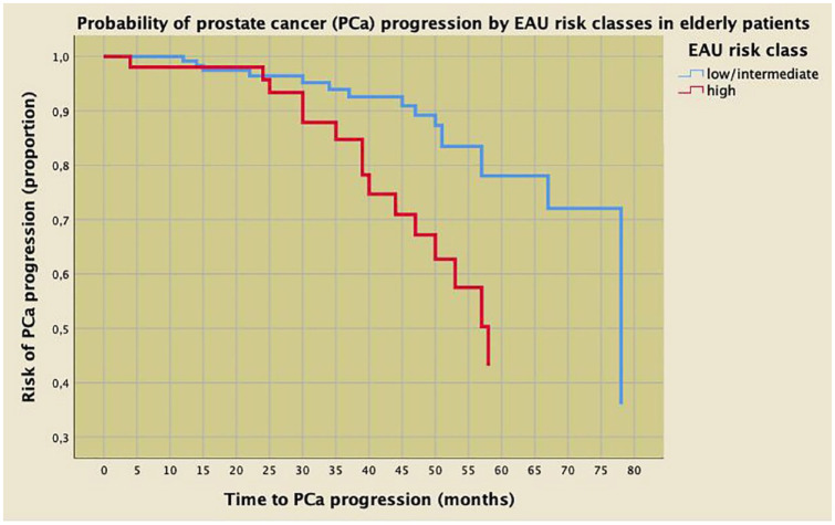 Normal preoperative endogenous testosterone levels predict prostate cancer progression in elderly patients after radical prostatectomy.