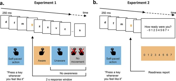 Feeling ready: neural bases of prospective motor readiness judgements.