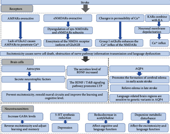 Possible Effects of Acupuncture in Poststroke Aphasia.