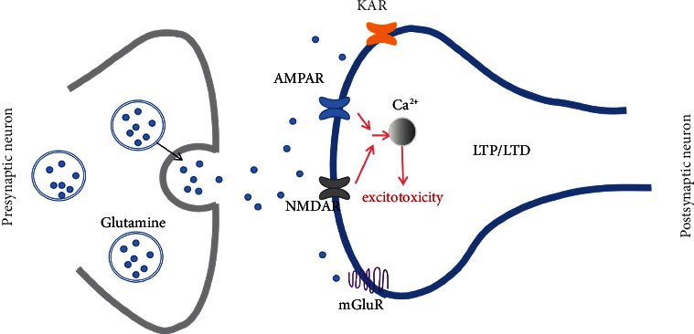 Possible Effects of Acupuncture in Poststroke Aphasia.