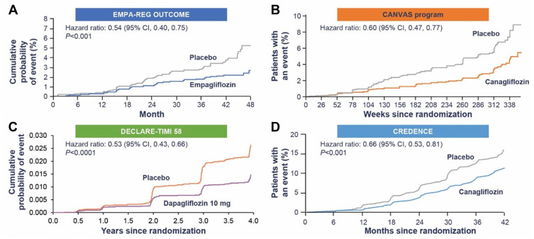 Chronic Kidney Disease Management in the Middle East and Africa: Concerns, Challenges, and Novel Approaches.