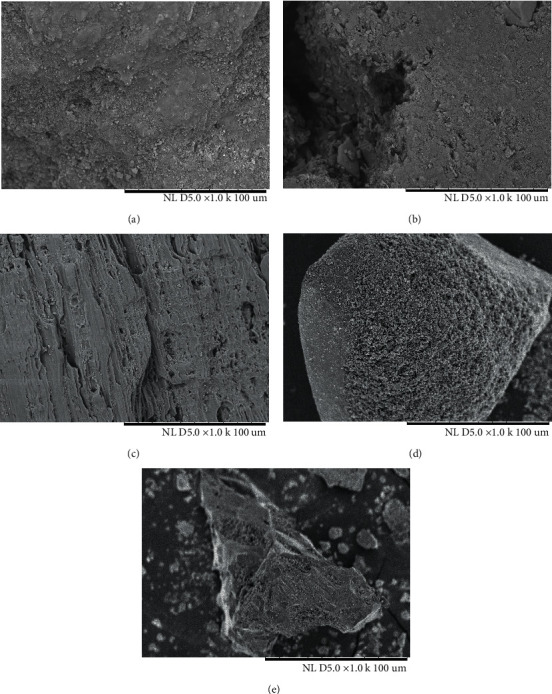 Modified Activated Carbon: A Supporting Material for Improving <i>Clostridium beijerinckii</i> TISTR1461 Immobilized Fermentation.