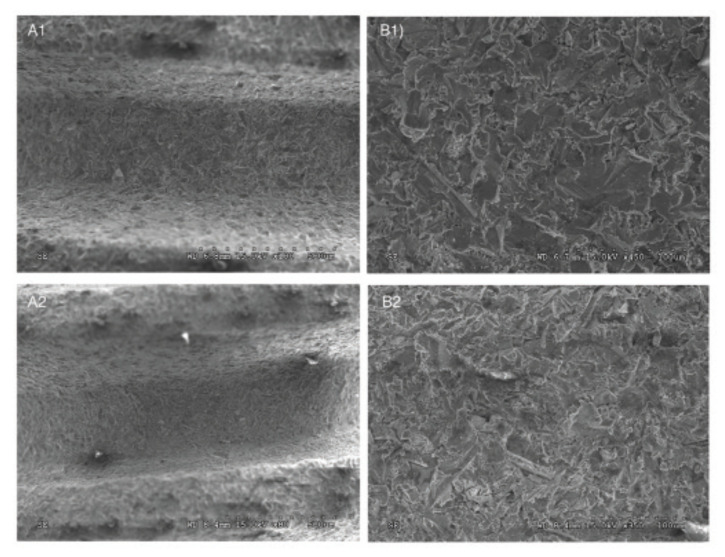 Impact of implant thread design on insertion torque and osseointegration: a preclinical model.