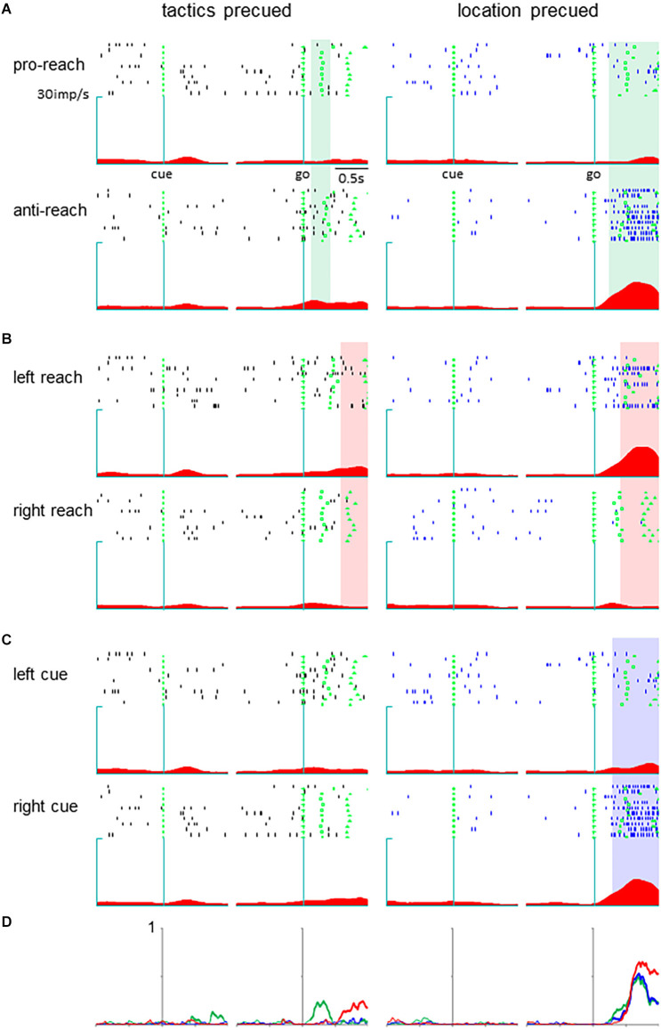 Non-overlapping sets of neurons encode behavioral response determinants across different tasks in the posterior medial prefrontal cortex.