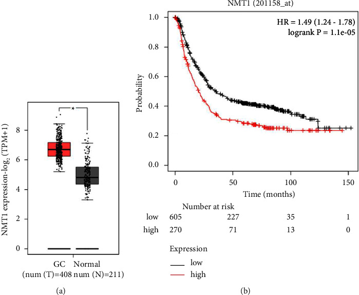 SPI1 Mediates N-Myristoyltransferase 1 to Advance Gastric Cancer Progression via PI3K/AKT/mTOR Pathway.