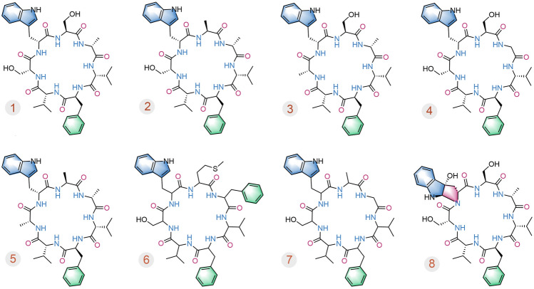 Targeted isolation of antitubercular cycloheptapeptides and an unusual pyrroloindoline-containing new analog, asperpyrroindotide A, using LC-MS/MS-based molecular networking.