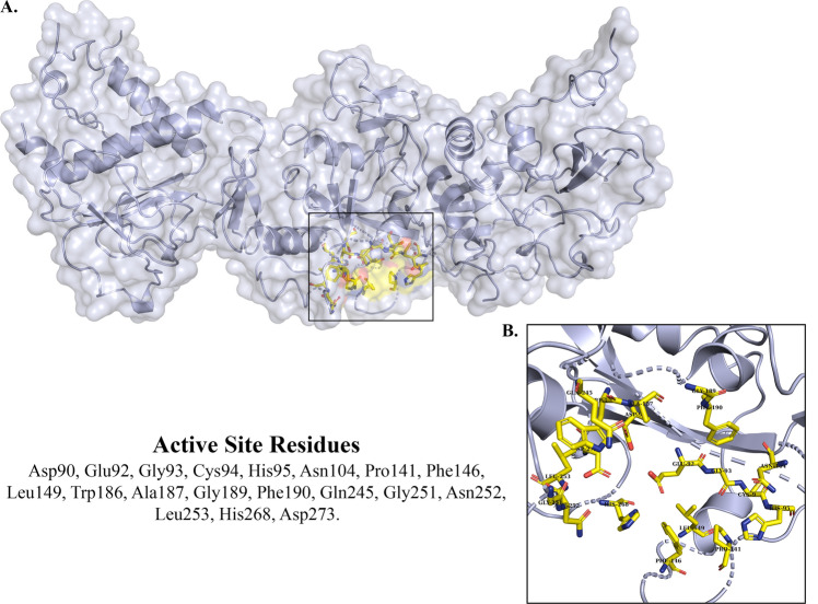 Exploring the pharmacological aspects of natural phytochemicals against SARS-CoV-2 Nsp14 through an in silico approach.