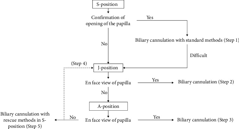 The Usefulness of the Alpha-Retroflex Position in Biliary Cannulation on Single-Balloon Enteroscopy-Assisted Endoscopic Retrograde Cholangiopancreatography in Patients with Roux-en-Y Gastrectomy: A Retrospective Study.