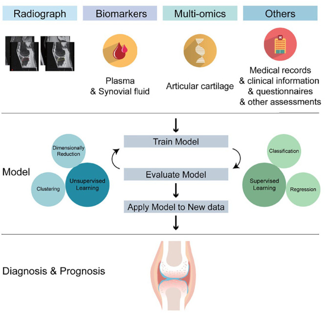 The application of machine learning in early diagnosis of osteoarthritis: a narrative review.