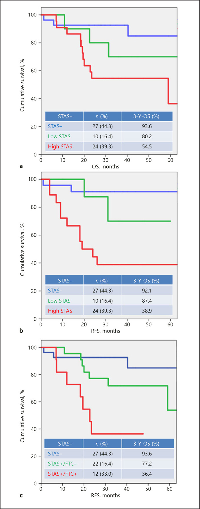 The More Extensive the Spread through Air Spaces, the Worse the Prognosis Is: Semi-Quantitative Evaluation of Spread through Air Spaces in Pulmonary Adenocarcinomas.