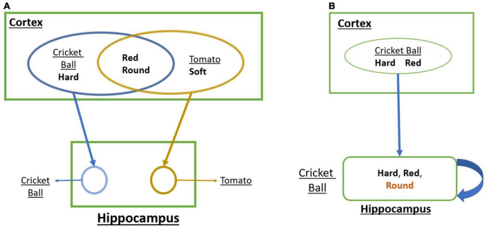 A deep network-based model of hippocampal memory functions under normal and Alzheimer's disease conditions.