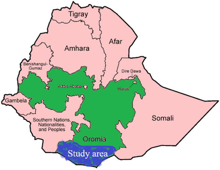 Pastoral Community Malaria Prevention Practice and Associated Factors Among Households in Three Districts of the Borena Zone, Southern Ethiopia.