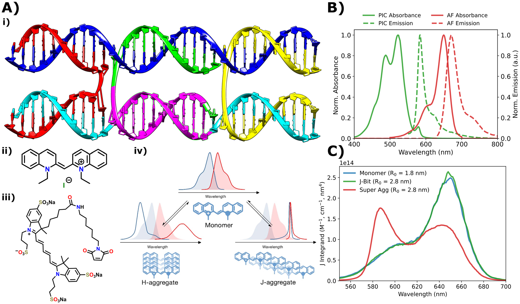 Structural and optical variation of pseudoisocyanine aggregates nucleated on DNA substrates.