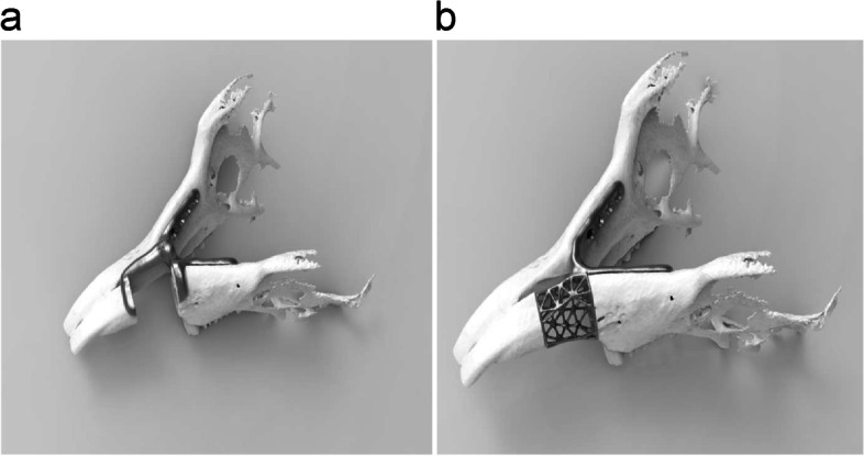 Investigating the accuracy of mandibulectomy and reconstructive surgery using 3D customized implants and surgical guides in a rabbit model.