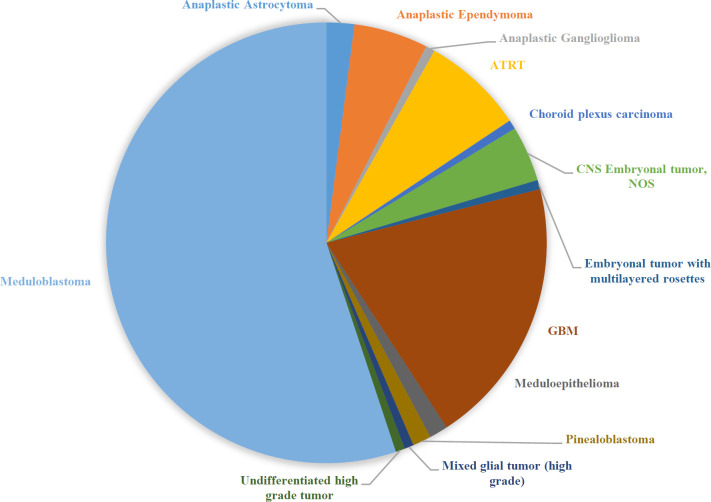 Evaluation of INI1 Protein Expression Through IHC Study in Pediatric High-Grade Brain Tumors in South of Iran in 2008-2021.