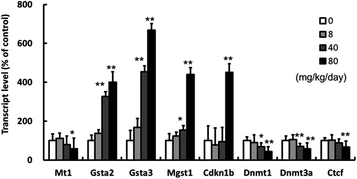 Gene expression analysis of antioxidant and DNA methylation on the rat liver after 4-week wood preservative chromated copper arsenate exposure.