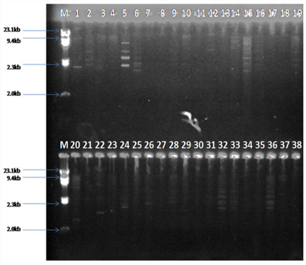 Antibiotic Resistance and Plasmid Replicon Types of Non-Typhoidal <i>Salmonella</i> Serovars Isolated From Food Animals and Humans in Lagos, Nigeria.