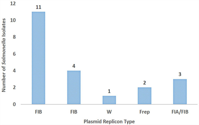 Antibiotic Resistance and Plasmid Replicon Types of Non-Typhoidal <i>Salmonella</i> Serovars Isolated From Food Animals and Humans in Lagos, Nigeria.