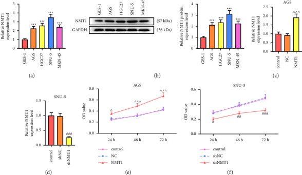 SPI1 Mediates N-Myristoyltransferase 1 to Advance Gastric Cancer Progression via PI3K/AKT/mTOR Pathway.