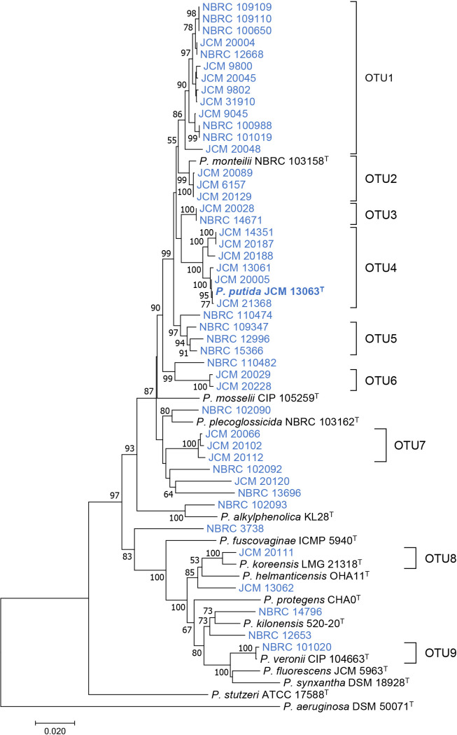 Genomic Reclassification and Phenotypic Characterization of Pseudomonas putida Strains Deposited in Japanese Culture Collections.