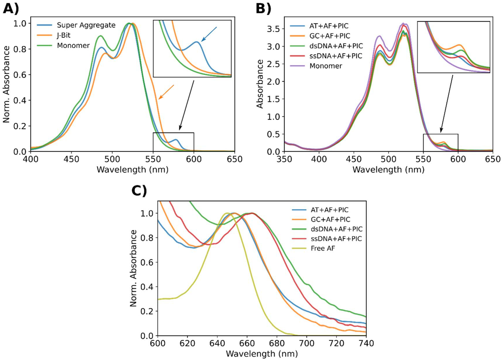 Structural and optical variation of pseudoisocyanine aggregates nucleated on DNA substrates.