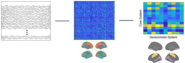 Testing EEG functional connectivity between sensorimotor and face processing visual regions in individuals with congenital facial palsy.