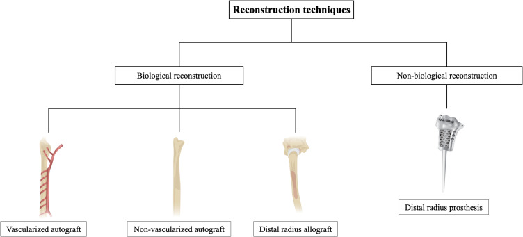 Reconstruction After En Bloc Resection of a Distal Radius Tumor. An Updated and Concise Review.