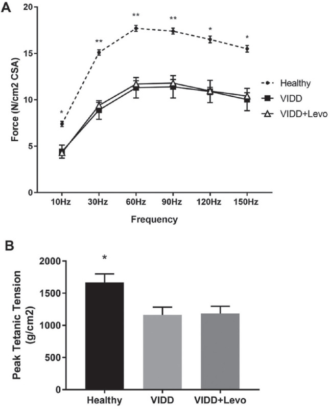 Treatment with levosimendan in an experimental model of early ventilator-induced diaphragmatic dysfunction.