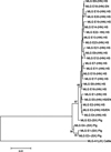 Giardia duodenalis in Hu sheep: occurrence and environmental contamination on large-scale housing farms.