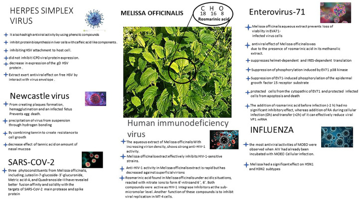 Antiviral Potential of Melissa officinalis L.: A Literature Review.