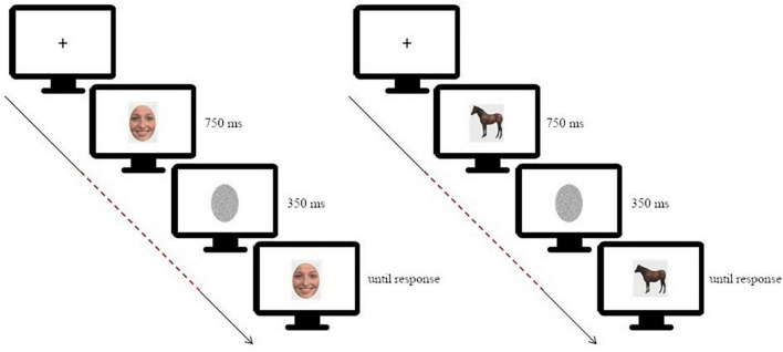 Testing EEG functional connectivity between sensorimotor and face processing visual regions in individuals with congenital facial palsy.