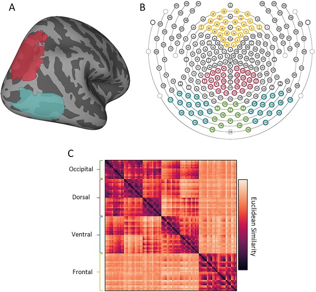 Temporal asymmetries and interactions between dorsal and ventral visual pathways during object recognition.