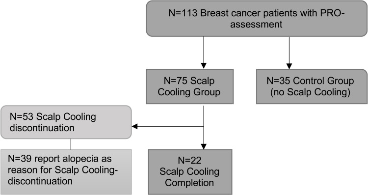 PRO Hair Safe Study: The Patient's Perspective on the Effects of Scalp Cooling on Hair Preservation.