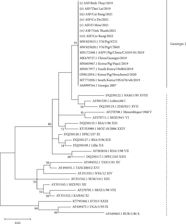 Molecular Characterization of African Swine Fever Viruses Circulating in Can Tho City, Vietnam.