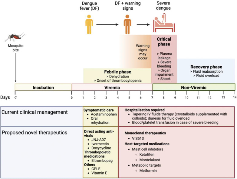 Dengue: Update on Clinically Relevant Therapeutic Strategies and Vaccines.