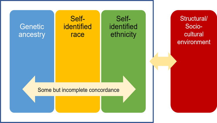 An integrative framework and recommendations for the study of DNA methylation in the context of race and ethnicity.