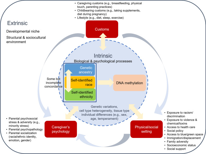 An integrative framework and recommendations for the study of DNA methylation in the context of race and ethnicity.