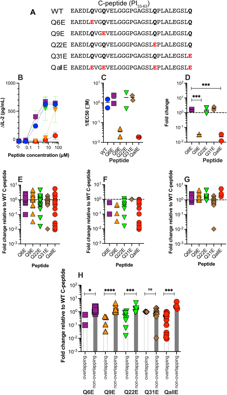 Glutamine deamidation does not increase the immunogenicity of C-peptide in people with type 1 diabetes