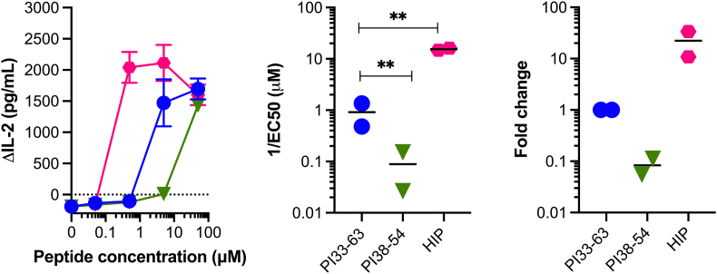 Glutamine deamidation does not increase the immunogenicity of C-peptide in people with type 1 diabetes