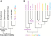 Molecular phylogeny of Psychodopygina (Diptera, Psychodidae) supporting morphological systematics of this group of vectors of New World tegumentary leishmaniasis.