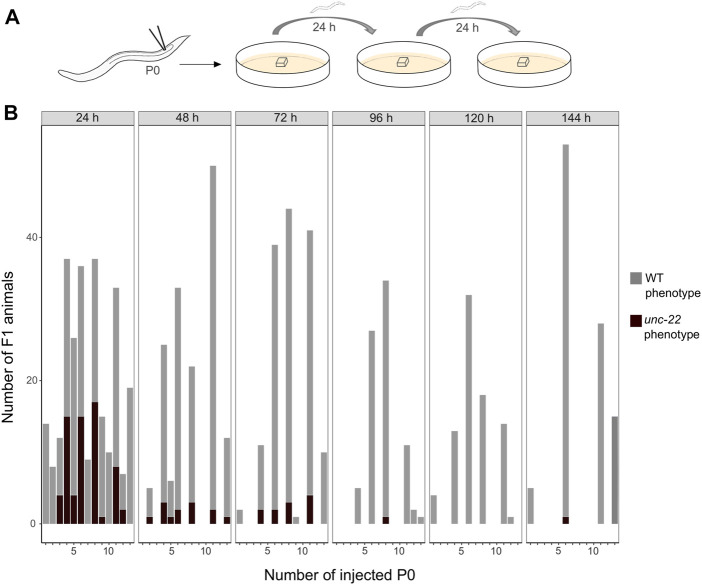 CRISPR/Cas9 mediated gene editing in non-model nematode <i>Panagrolaimus</i> sp. PS1159.