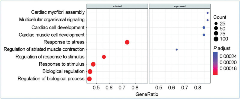 Identification of the metabolic state of surviving cardiomyocytes in the human infarcted heart by spatial single-cell transcriptomics.