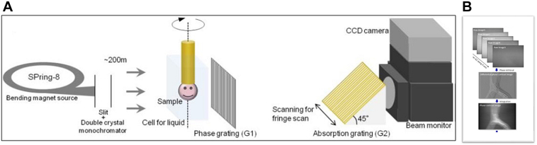 Mechanism of sac expansion without evident endoleak analyzed with X ray phase-contrast tomography