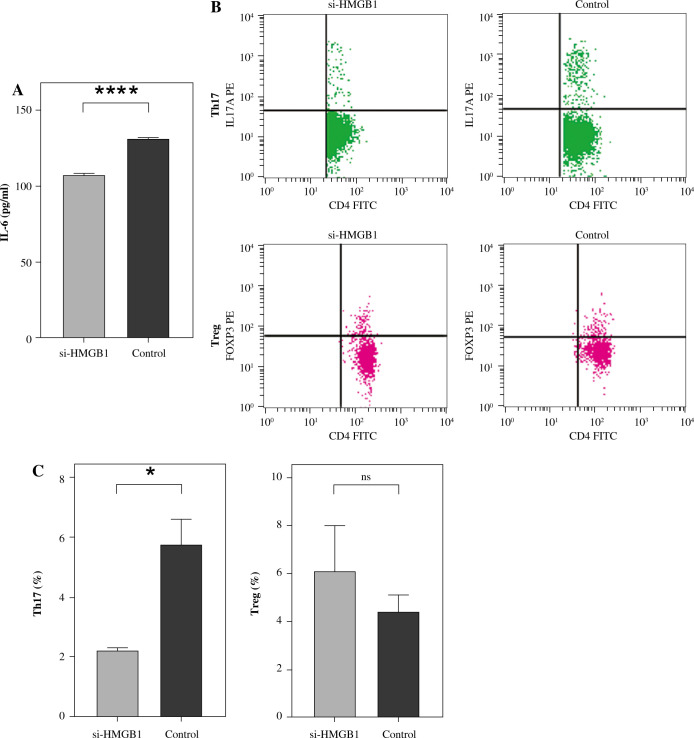 Downregulation of HMGB1 in thymoma cells affects T cell differentiation.