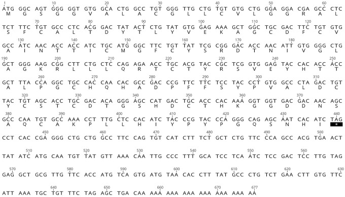 Molecular Cloning and AlphaFold Modeling of Thyrotropin (ag-TSH) From the Amazonian Fish Pirarucu (<i>Arapaima gigas</i>).