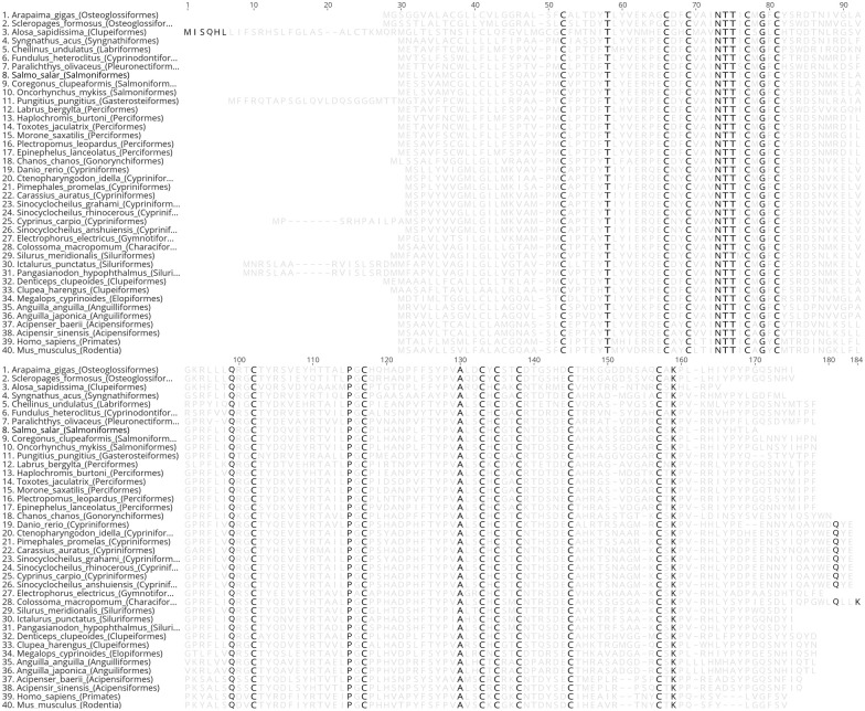 Molecular Cloning and AlphaFold Modeling of Thyrotropin (ag-TSH) From the Amazonian Fish Pirarucu (<i>Arapaima gigas</i>).