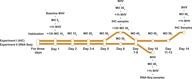 The effects of chronic high-dose morphine on microgliosis and the microglial transcriptome in rat spinal cord.