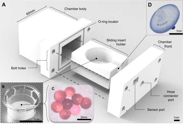 Pneumatic piston hydrostatic bioreactor for cartilage tissue engineering.