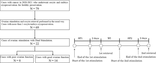 Investigation of an efficient method of oocyte retrieval by dual stimulation for patients with cancer.