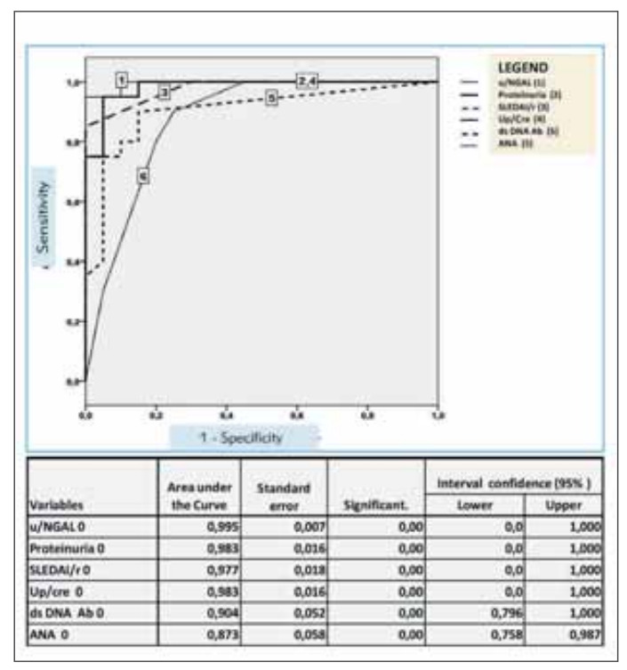 Comparison urine neutrophil gelatinase - associated lipocalin with standard parameters in monitoring activity Lupus nephritis: Class IV.